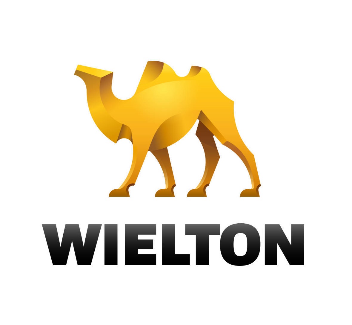 Логотип WIELTON